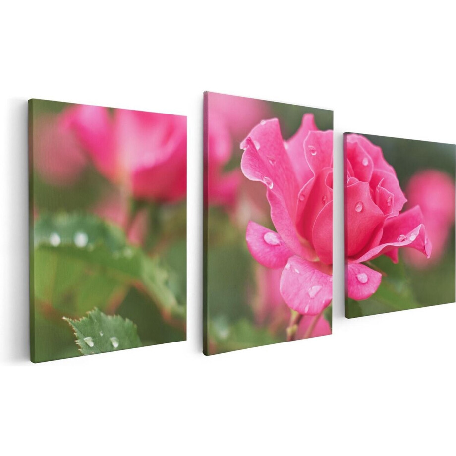 Artaza Canvas Schilderij Drieluik Roze Roos Met Waterdruppels - 120x60 - Foto Op Canvas - Canvas Print afbeelding 1