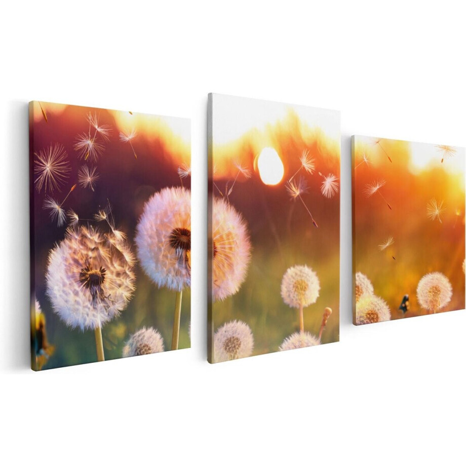 Artaza Canvas Schilderij Drieluik Paardenbloemen Tijdens Zonsondergang - 120x60 - Foto Op Canvas - Canvas Print Artaza Canvas Schilderij Drieluik Paardenbloemen Tijdens Zonsondergang - 120x60 - Foto Op Canvas - Canvas Print afbeelding 1