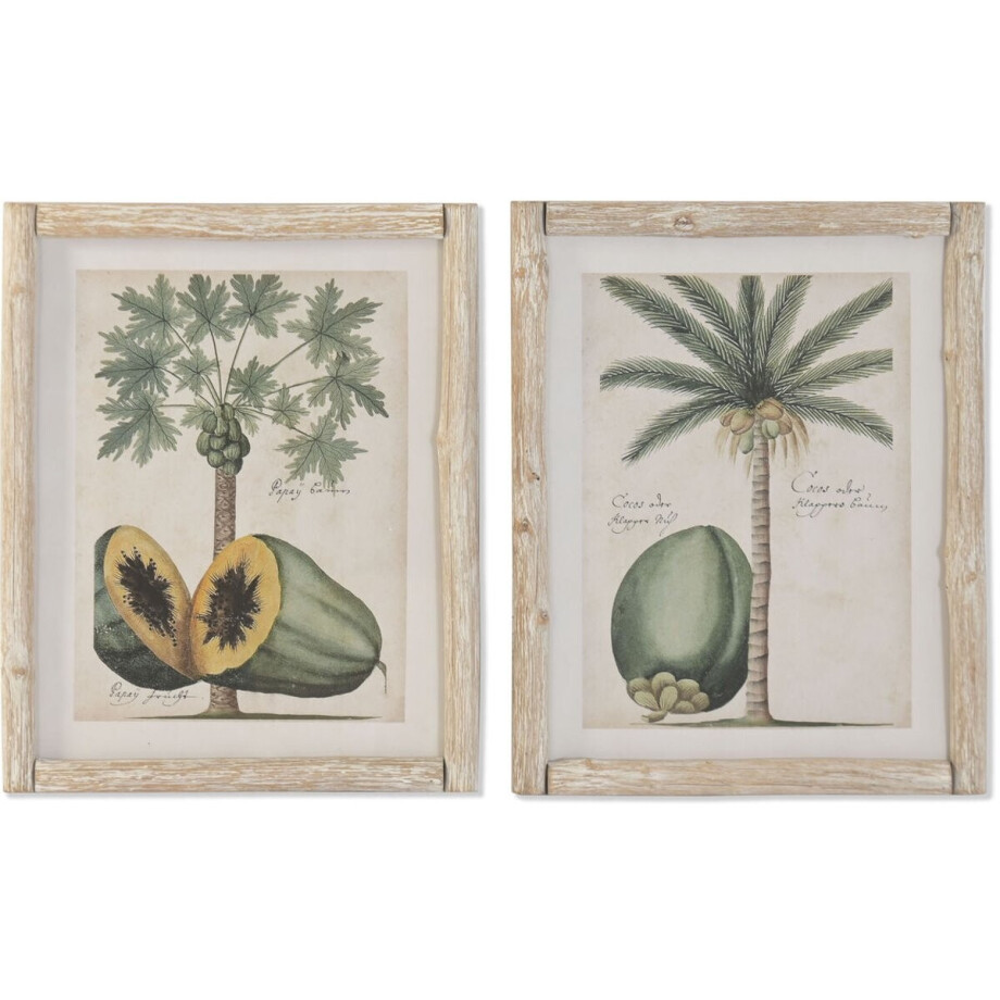 Schilderij Home ESPRIT Groen Beige Tropisch 40 x 3,5 x 50 cm (2 Stuks) afbeelding 1