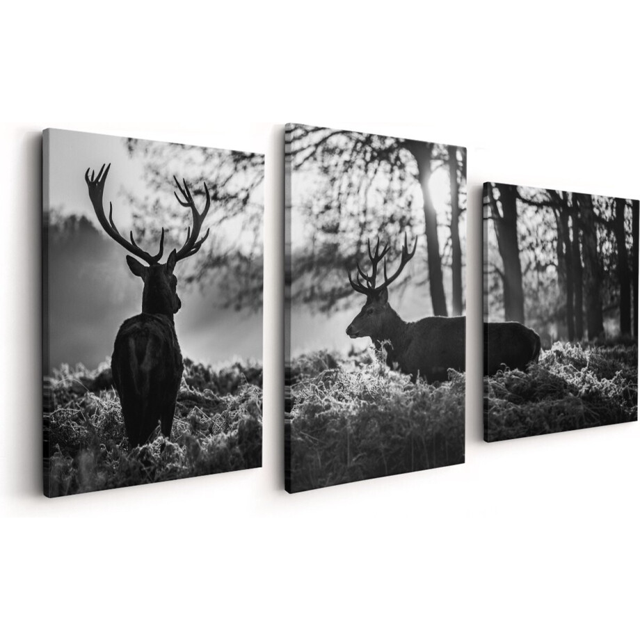 Artaza Canvas Schilderij Drieluik Twee Herten tijdens de Zonsondergang - Zwart Wit - 120x60 - Foto Op Canvas - Canvas Print afbeelding 1