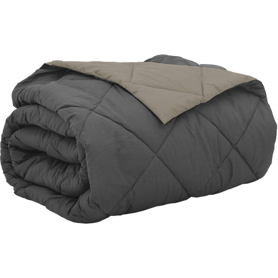 vidaXL - Zomer - Deken - Lichtgrijs - en - Antraciet - 240 - x - 200 - cm - Microvezel vidaXL - Zomer - Deken - Lichtgrijs - en - Antraciet - 240 - x - 200 - cm - Microvezel afbeelding 1