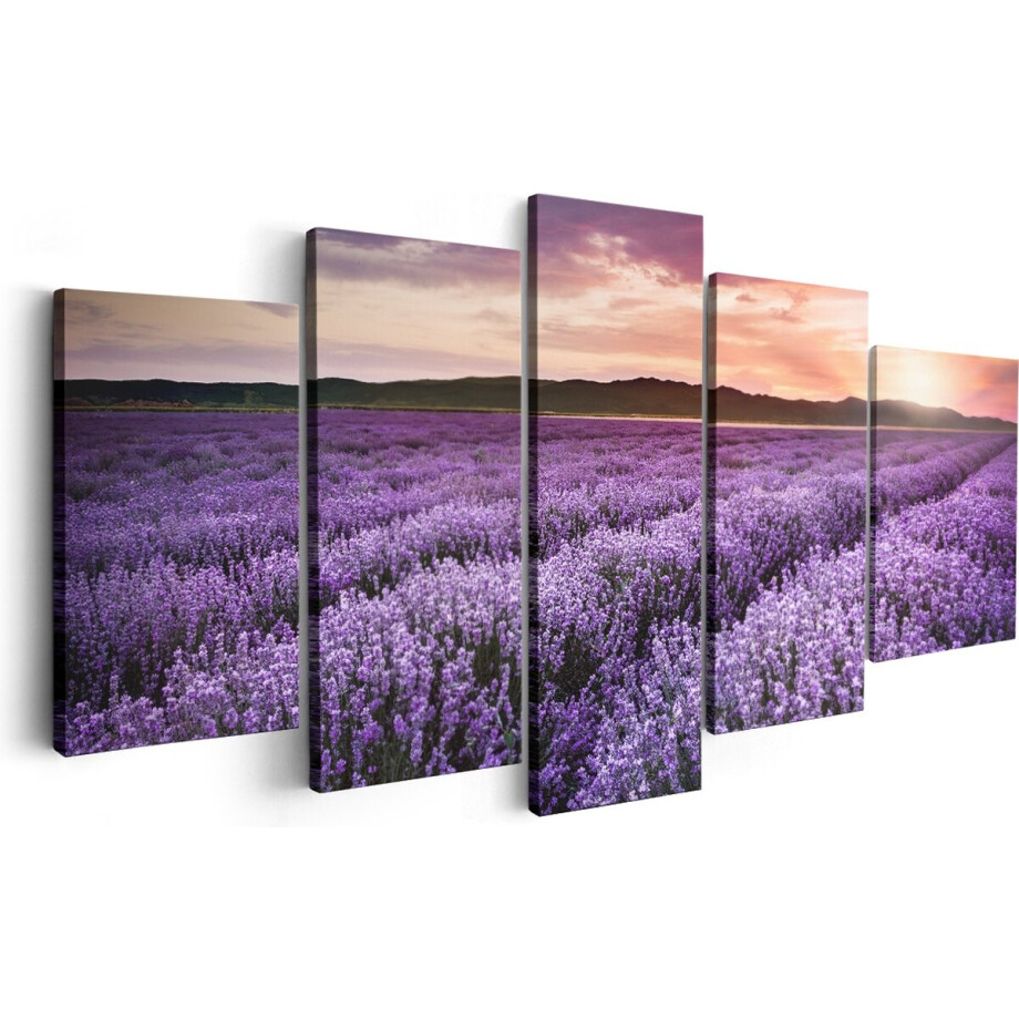 Artaza Canvas Schilderij Vijfluik Bloemenveld Met Paarse Lavendel - Bloemen - 200x100 - Groot - Foto Op Canvas - Canvas Print Artaza Canvas Schilderij Vijfluik Bloemenveld Met Paarse Lavendel - Bloemen - 200x100 - Groot - Foto Op Canvas - Canvas Print afbeelding 1