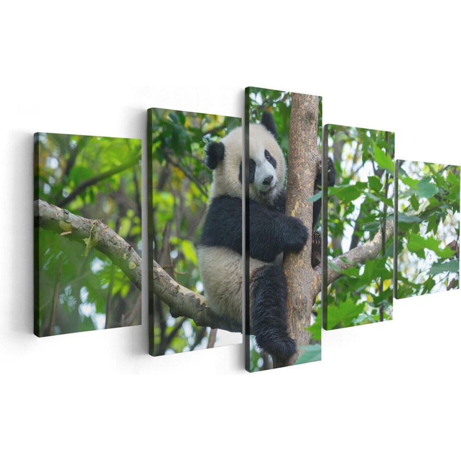 Artaza Canvas Schilderij Vijfluik Panda in de Bomen - 100x50 - Foto Op Canvas - Canvas Print afbeelding 1