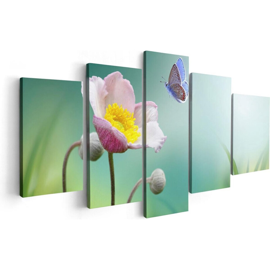 Artaza Canvas Schilderij Vijfluik Roze Anemoon Bloem Met Een Blauwe Vlinder - 100x50 - Foto Op Canvas - Canvas Print afbeelding 1