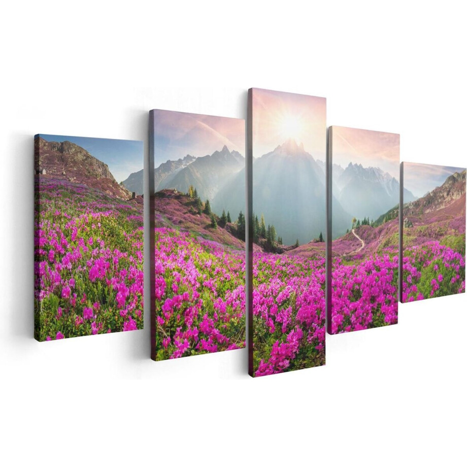 Artaza Canvas Schilderij Vijfluik Rhododendron Bloemenveld In De Alpen - 100x50 - Foto Op Canvas - Canvas Print afbeelding 1