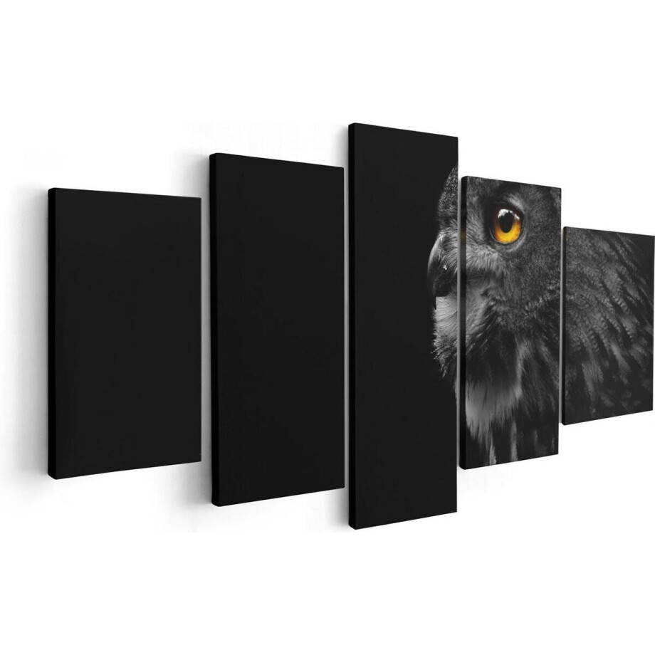 Artaza Canvas Schilderij Vijfluik Zwarte Uil Met Gouden Ogen - 100x50 - Foto Op Canvas - Canvas Print Artaza Canvas Schilderij Vijfluik Zwarte Uil Met Gouden Ogen - 100x50 - Foto Op Canvas - Canvas Print afbeelding 1