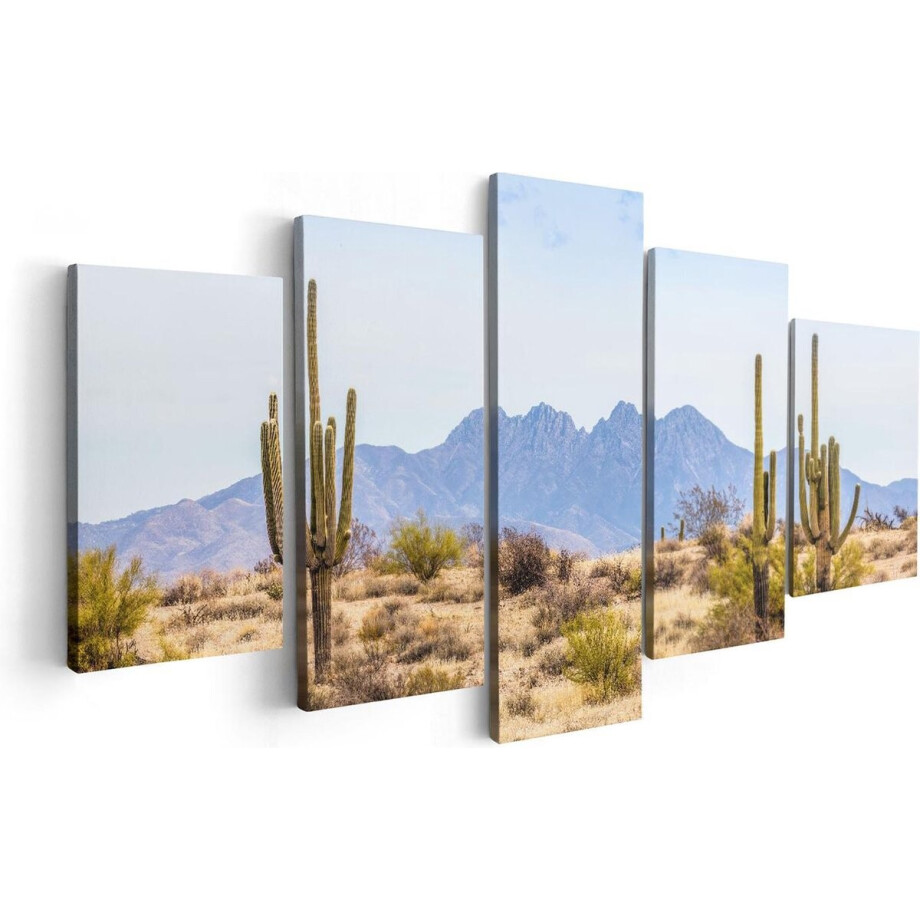 Artaza Canvas Schilderij Vijfluik Cactussen in de Woestijn - 100x50 - Foto Op Canvas - Canvas Print afbeelding 1