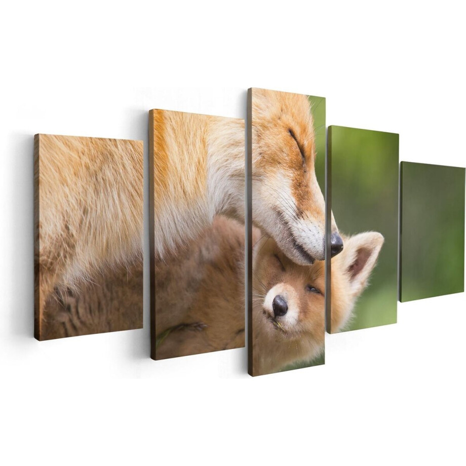 Artaza Canvas Schilderij Vijfluik Moeder Vos met haar Welp  - 100x50 - Foto Op Canvas - Canvas Print afbeelding 1