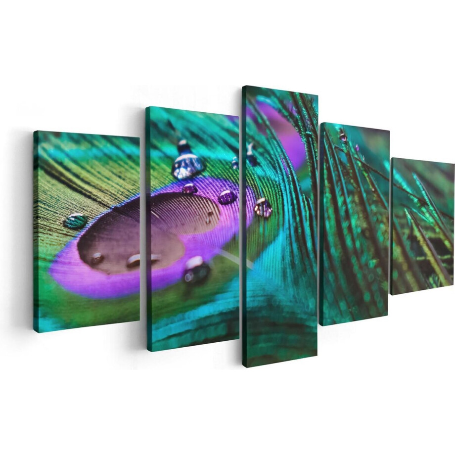 Artaza Canvas Schilderij Vijfluik Kleurrijke Pauw Veer Met Waterdruppels  - 100x50 - Foto Op Canvas - Canvas Print afbeelding 1