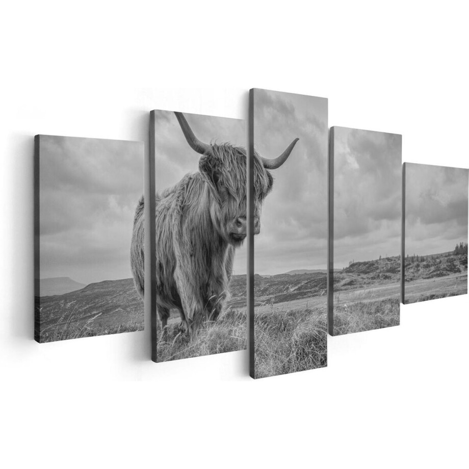 Artaza Canvas Schilderij Vijfluik Schotse Hooglander In De Wei - Zwart Wit - 100x50 - Foto Op Canvas - Canvas Print Artaza Canvas Schilderij Vijfluik Schotse Hooglander In De Wei - Zwart Wit - 100x50 - Foto Op Canvas - Canvas Print afbeelding 1