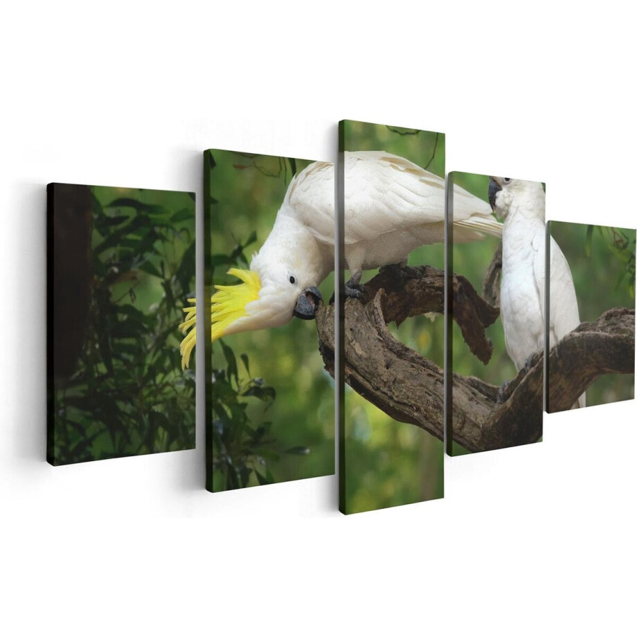 Artaza Canvas Schilderij Vijfluik Twee Witte Kaketoes in de Bomen - 100x50 - Foto Op Canvas - Canvas Print Artaza Canvas Schilderij Vijfluik Twee Witte Kaketoes in de Bomen - 100x50 - Foto Op Canvas - Canvas Print afbeelding 1