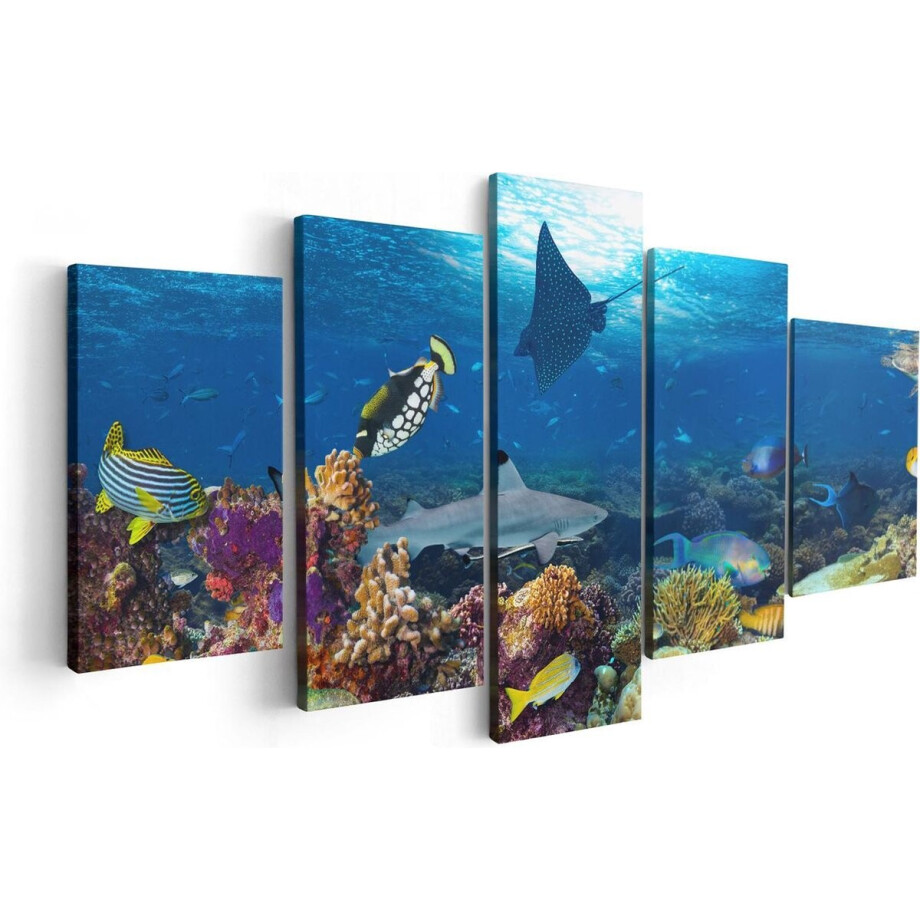 Artaza Canvas Schilderij Vijfluik Vissen met Koraalrif in de Oceaan - 100x50 - Foto Op Canvas - Canvas Print Artaza Canvas Schilderij Vijfluik Vissen met Koraalrif in de Oceaan - 100x50 - Foto Op Canvas - Canvas Print afbeelding 1