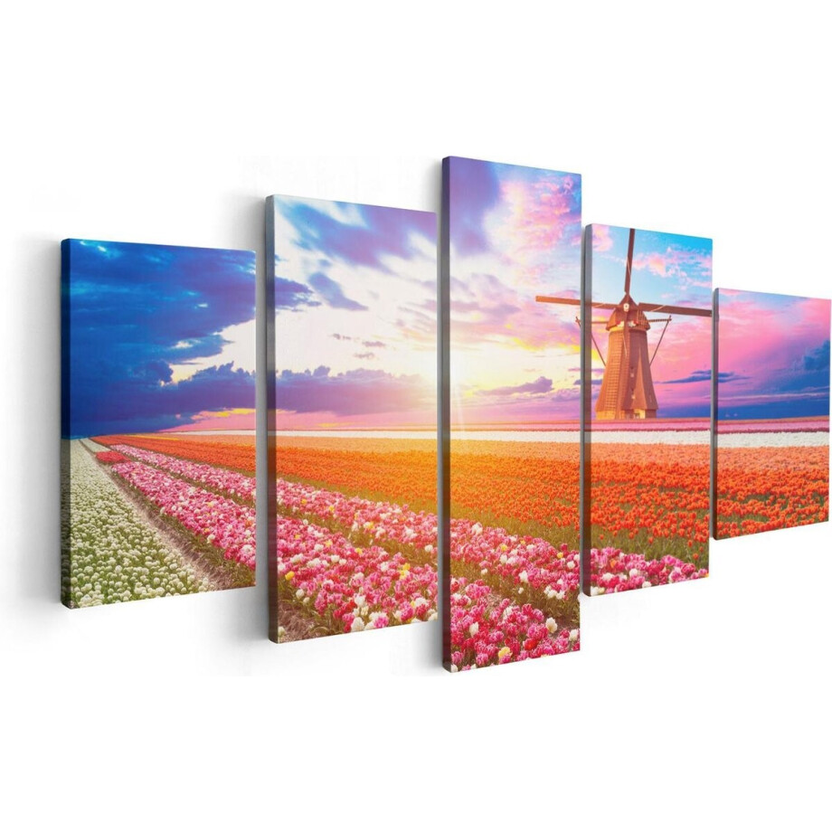 Artaza Canvas Schilderij Vijfluik Kleurrijke Bloemenveld Met Een Windmolen - 100x50 - Foto Op Canvas - Canvas Print Artaza Canvas Schilderij Vijfluik Kleurrijke Bloemenveld Met Een Windmolen - 100x50 - Foto Op Canvas - Canvas Print afbeelding 1