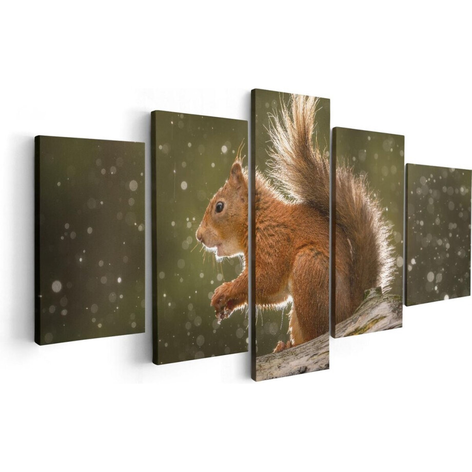 Artaza Canvas Schilderij Vijfluik Eekhoorn in de Regen - 100x50 - Foto Op Canvas - Canvas Print afbeelding 1