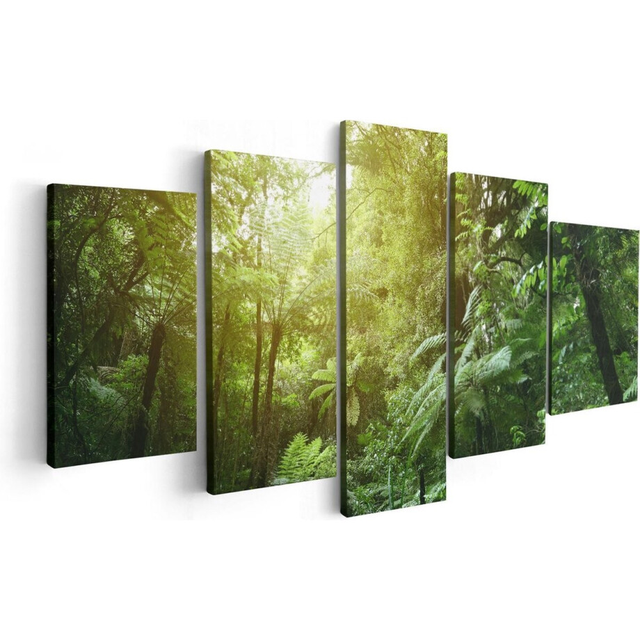 Artaza Canvas Schilderij Vijfluik Tropische Jungle Met Zonneschijn - 100x50 - Foto Op Canvas - Canvas Print afbeelding 1