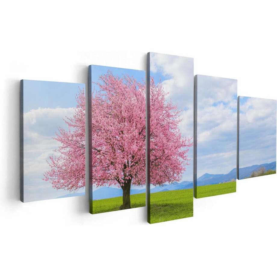 Artaza Canvas Schilderij Vijfluik Roze Sakura Bloesem Boom In Het Groene Veld - 100x50 - Foto Op Canvas - Canvas Print Artaza Canvas Schilderij Vijfluik Roze Sakura Bloesem Boom In Het Groene Veld - 100x50 - Foto Op Canvas - Canvas Print afbeelding 1