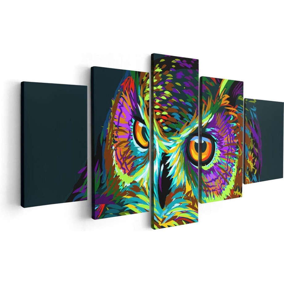 Artaza Canvas Schilderij Vijfluik Kleurrijke Uil - Abstract - 100x50 - Foto Op Canvas - Canvas Print afbeelding 1