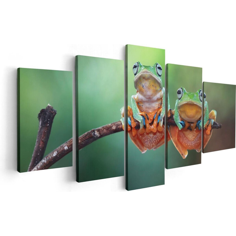 Artaza Canvas Schilderij Vijfluik Twee Boomkikkers op een Tak - 100x50 - Foto Op Canvas - Canvas Print Artaza Canvas Schilderij Vijfluik Twee Boomkikkers op een Tak - 100x50 - Foto Op Canvas - Canvas Print afbeelding 1