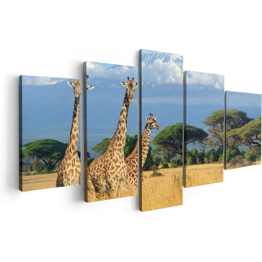 Artaza Canvas Schilderij Vijfluik Drie Giraffes In De Savanne - 100x50 - Foto Op Canvas - Canvas Print afbeelding 1
