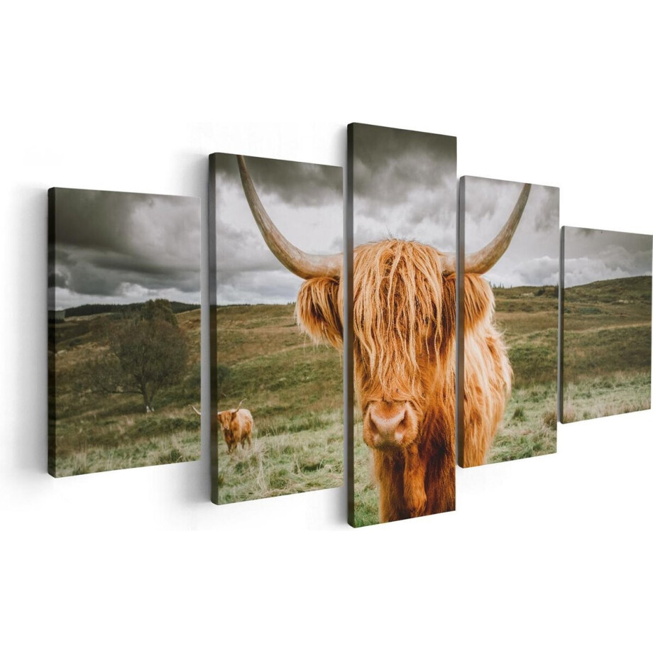 Artaza Canvas Schilderij Vijfluik Schotse Hooglanders In De Wei - Kleur - 100x50 cm - Wanddecoratie Woonkamer - Schilderijen - Muurdecoratie Artaza Canvas Schilderij Vijfluik Schotse Hooglanders In De Wei - Kleur - 100x50 cm - Wanddecoratie Woonkamer - Schilderijen - Muurdecoratie afbeelding 1
