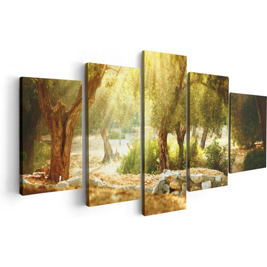Artaza Canvas Schilderij Vijfluik Olijfbomen - Olijfboomgaard  - 100x50 - Foto Op Canvas - Canvas Print afbeelding 1