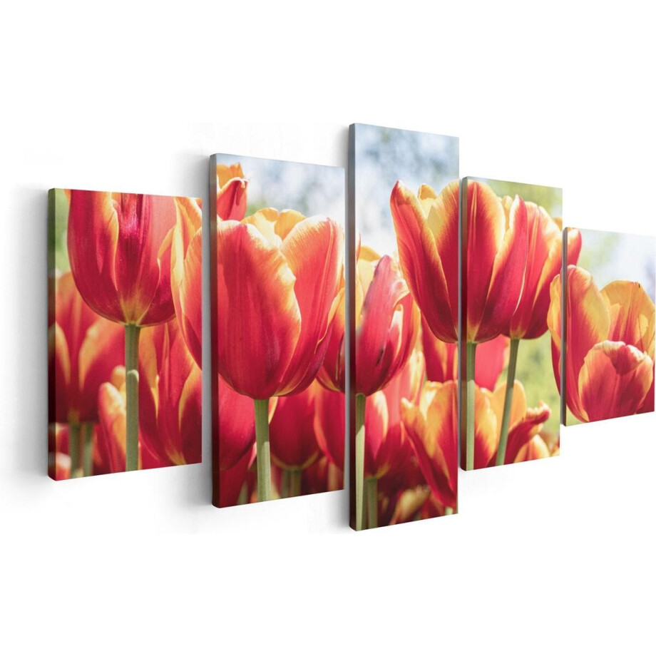 Artaza Canvas Schilderij Vijfluik Oranje Rode Tulpen  - 100x50 - Foto Op Canvas - Canvas Print afbeelding 1