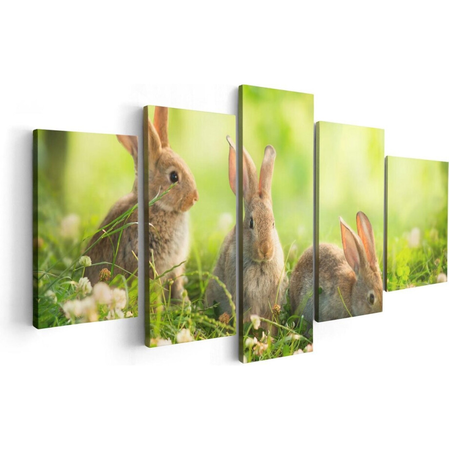 Artaza Canvas Schilderij Vijfluik Drie Konijnen Op Het Gras Bij Zonneschijn - 100x50 - Foto Op Canvas - Canvas Print afbeelding 1