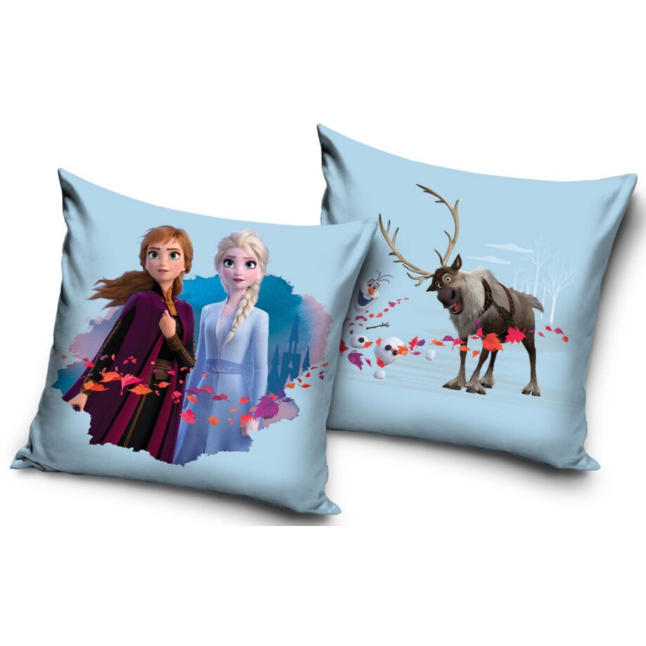 Disney Frozen fluwelen kussenhoes 40x40 cm afbeelding 1
