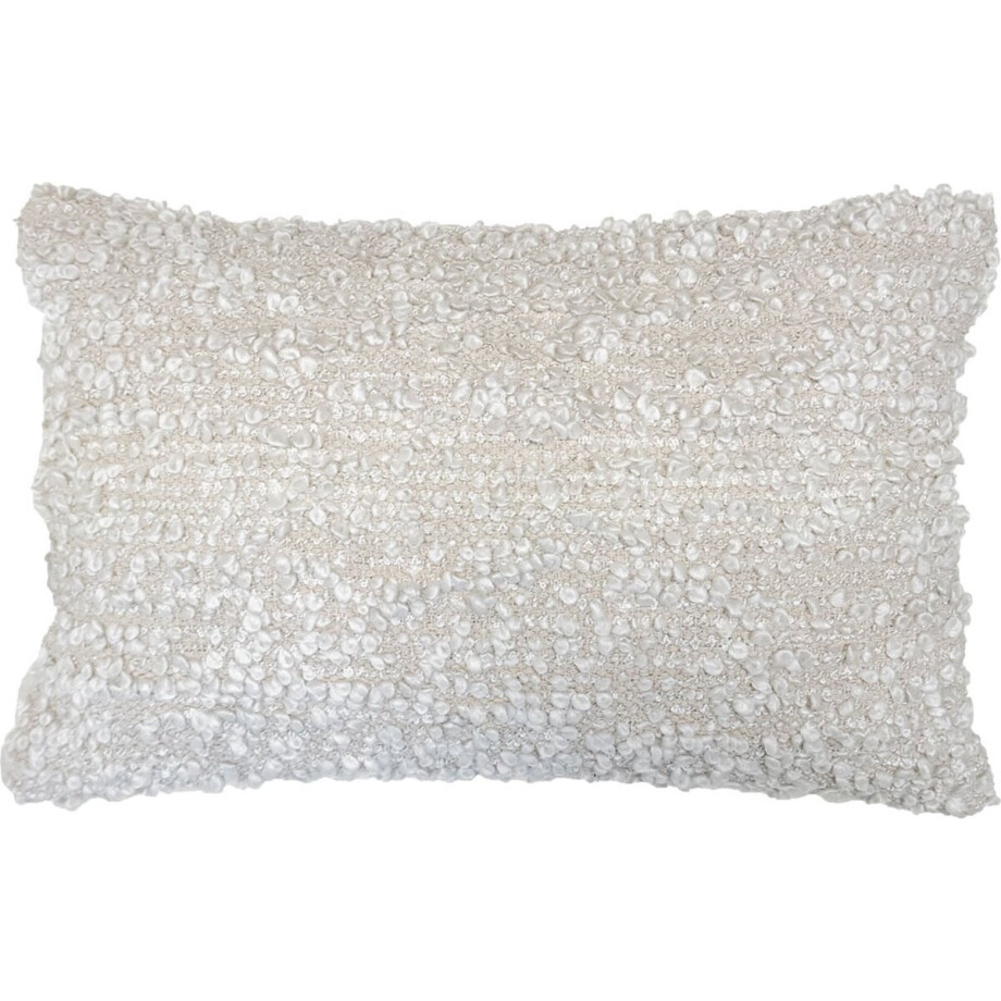 Kussen Mica 40 x 60 cm Kussen Mica 40 x 60 cm afbeelding 1