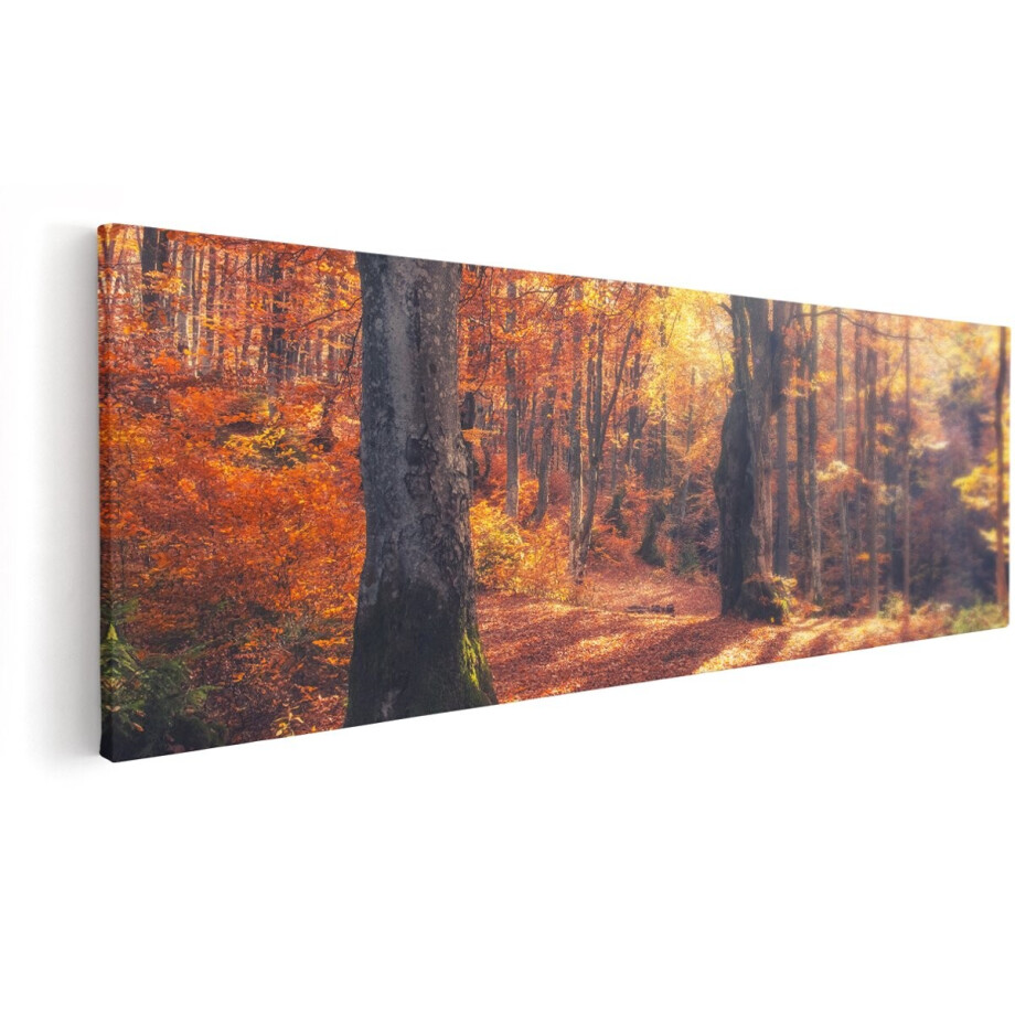 Artaza Canvas Schilderij Oranje Herfstbos Met Zonneschijn - 150x50 cm - Groot - Wanddecoratie Woonkamer - Schilderijen - Muurdecoratie afbeelding 1