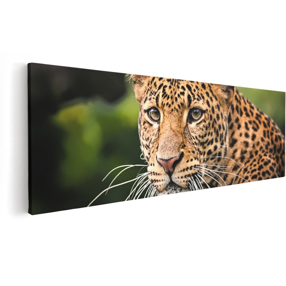 Artaza Canvas Schilderij Luipaard Van Dichtbij - 150x50 cm - Groot - Wanddecoratie Woonkamer - Schilderijen - Muurdecoratie afbeelding 1