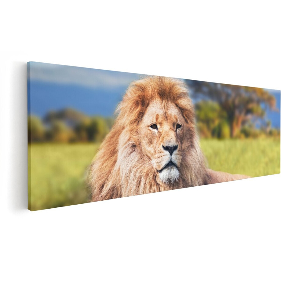Artaza Canvas Schilderij Leeuw - 150x50 cm - Groot - Wanddecoratie Woonkamer - Schilderijen - Muurdecoratie Artaza Canvas Schilderij Leeuw - 150x50 cm - Groot - Wanddecoratie Woonkamer - Schilderijen - Muurdecoratie afbeelding 1