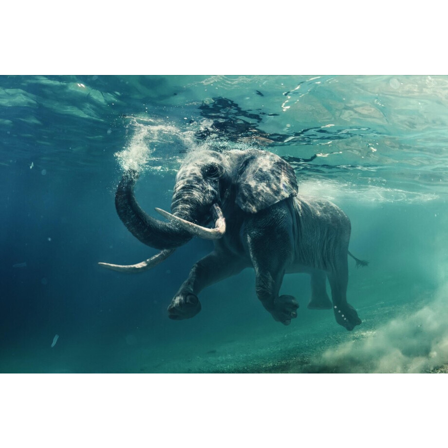 Kristal Helder Galerie kwaliteit Plexiglas 5mm.- Blind Aluminium Ophang-frame- Fotokunst- luxe wanddecoratie- Akoestisch en UV Werend- inclusief verzending afbeelding 1