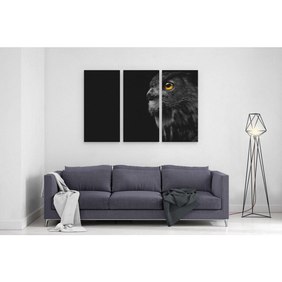 Artaza Canvas Schilderij Drieluik Zwarte Uil Met Gouden Ogen  - 120x80 - Foto Op Canvas - Canvas Print afbeelding 1