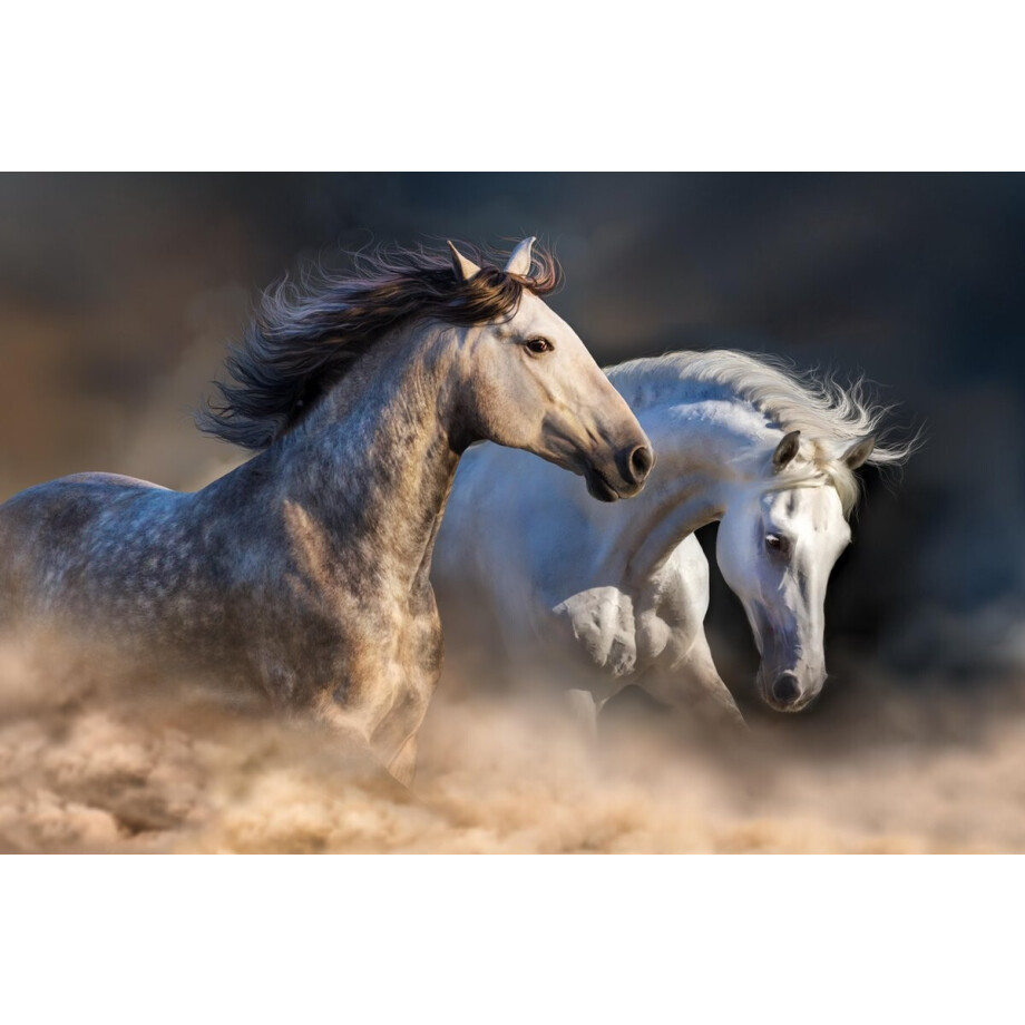 Kristal Helder Galerie kwaliteit Plexiglas 5mm.- Blind Aluminium Ophang-frame- Fotokunst- luxe wanddecoratie- Akoestisch en UV Werend- inclusief verzending afbeelding 1