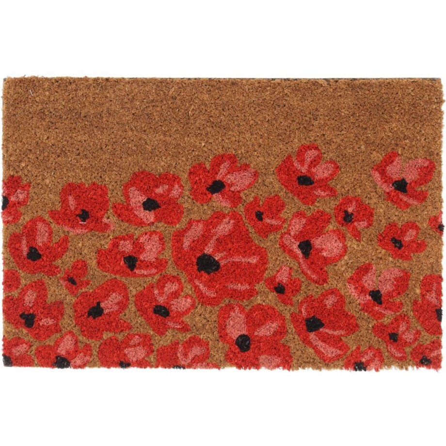 vidaXL - Deurmat - 40x60 - cm - getufte - kokosvezel - naturel afbeelding 1