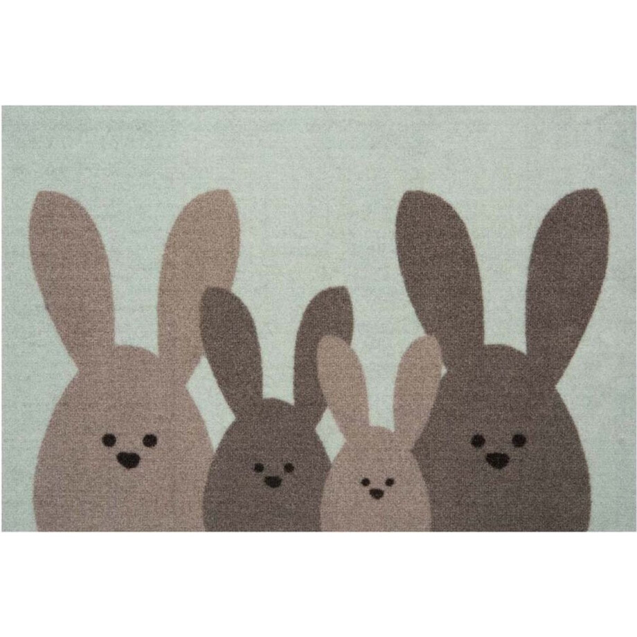 Deurmat Bunny Wasbaar 30°C - groen/bruin 40x60 cm afbeelding 1
