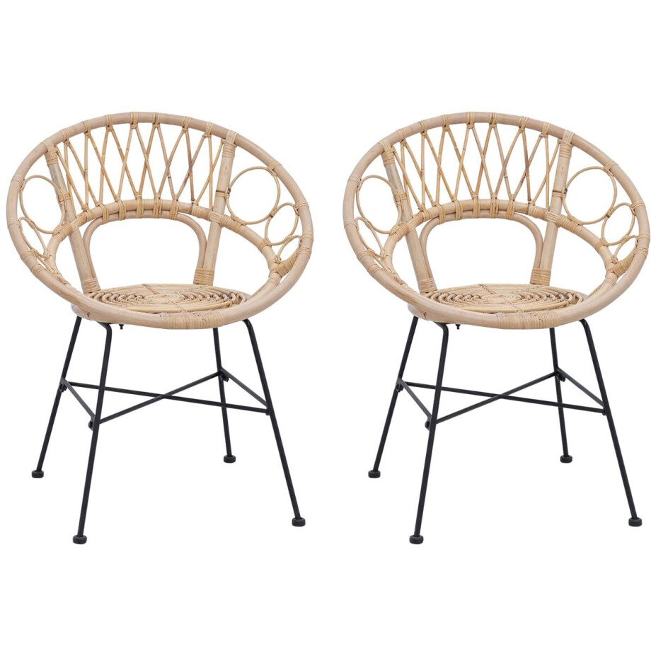 vidaXL - Eetkamerstoel - 2 - pcs - Naturel - 49 - x - 51 - x - 81 - cm - Riet - en - Ijzer afbeelding 1