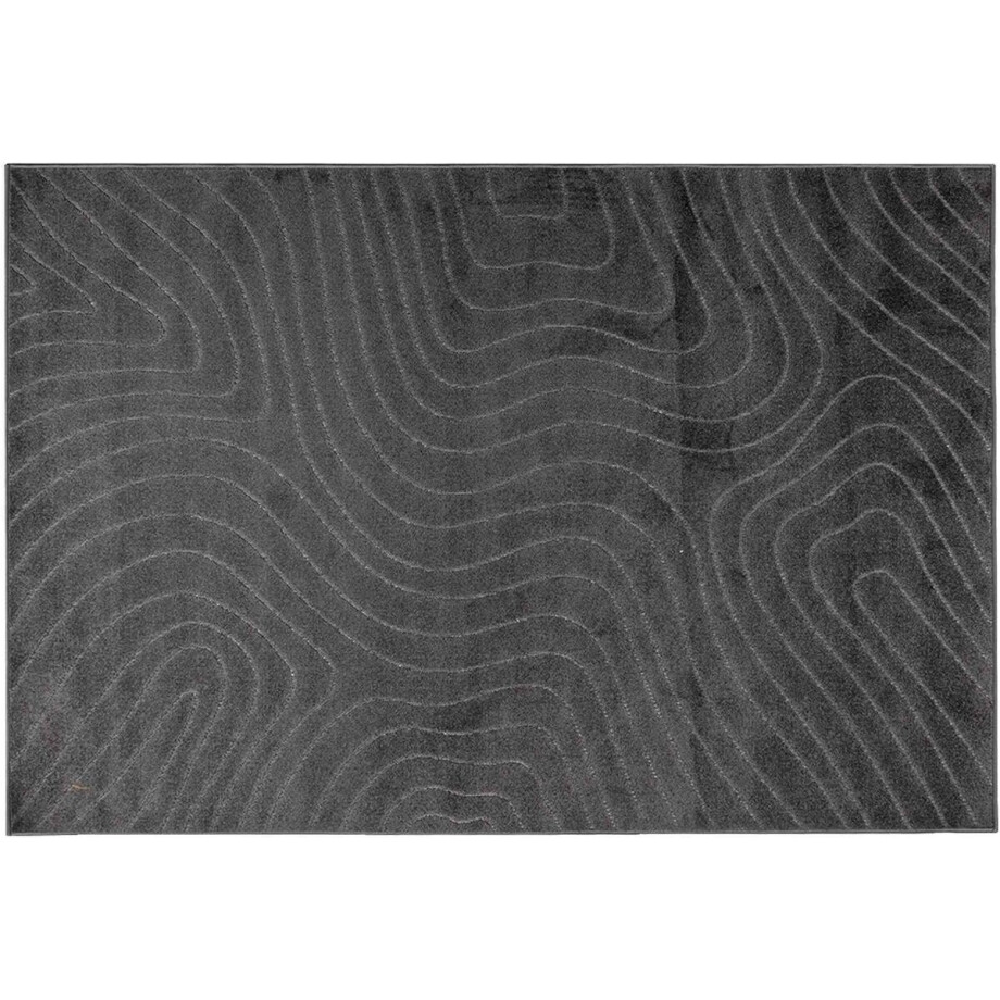 vidaXL - Vloerkleden - PALMERAS - Antraciet - 230 - x - 160 - cm - Polyester afbeelding 1
