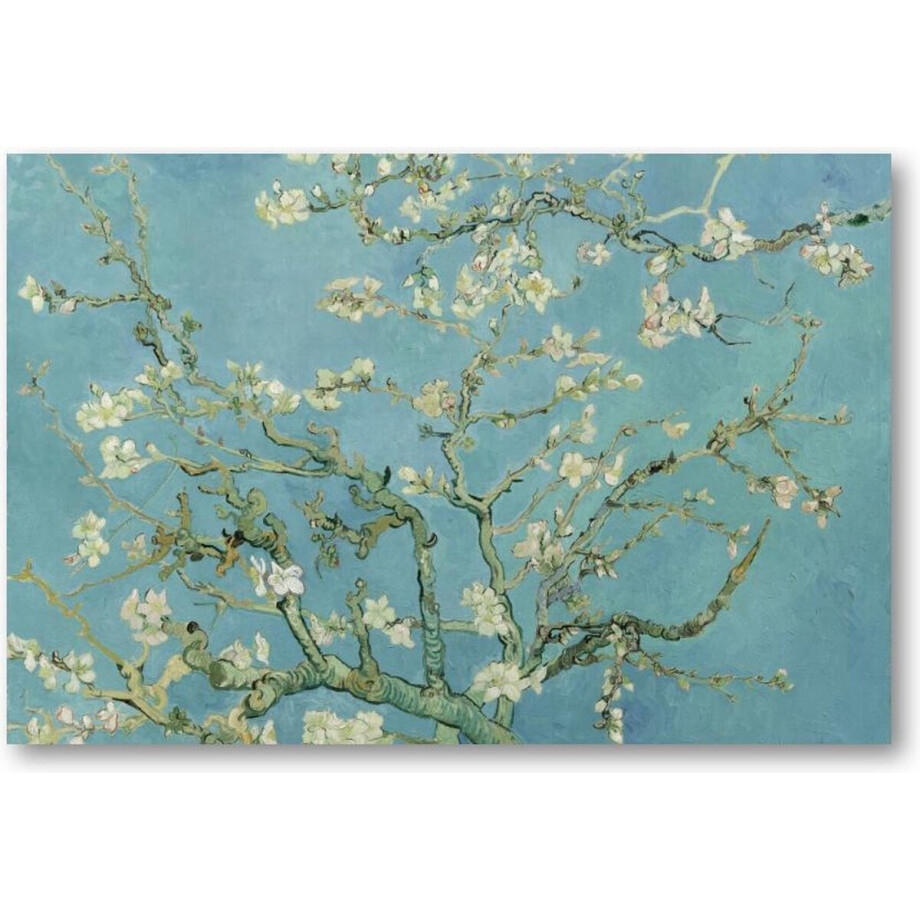 Amandelbloesem - Vincent van Gogh - 90x60 Canvas Liggend - Meesterwerken - Natuur - Bloemen - Vincent van Gogh afbeelding 1