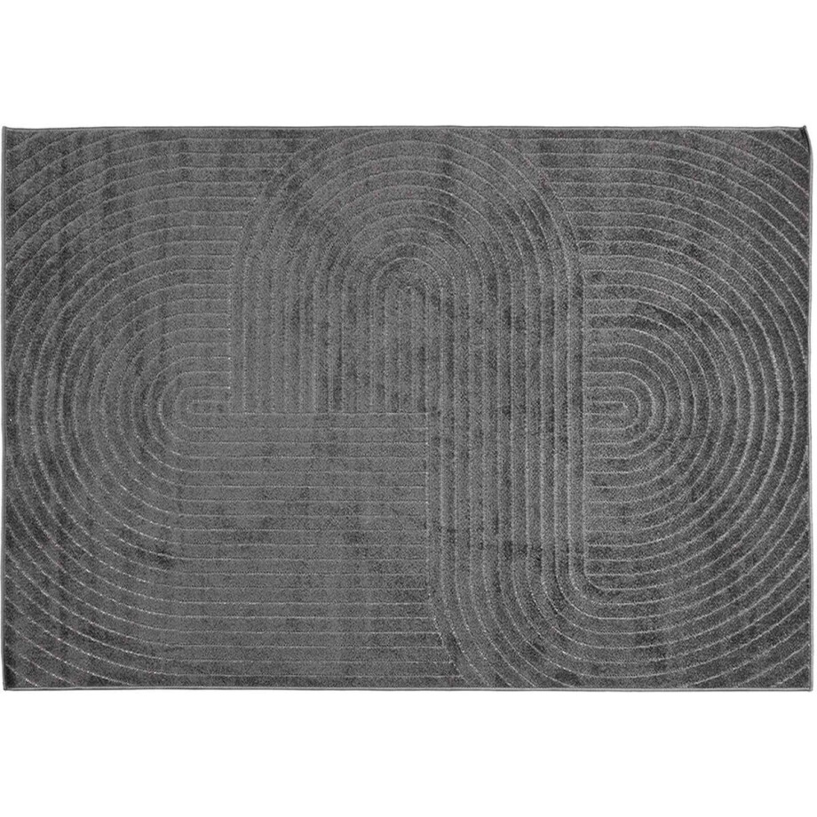 vidaXL - Vloerkleden - PALMERAS - Antraciet - 170 - x - 120 - cm - Polyester vidaXL - Vloerkleden - PALMERAS - Antraciet - 170 - x - 120 - cm - Polyester afbeelding 1