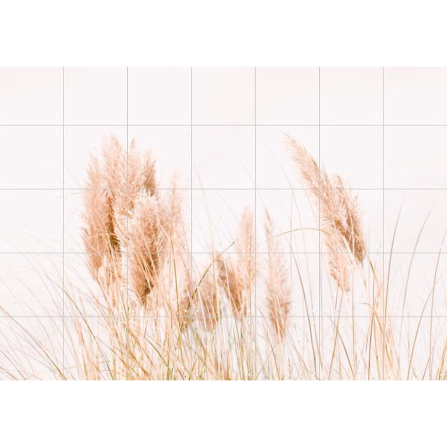IXXI Pampas Grass, Ingrid Beddoes - 140 x 100 cm - Gratis ophangtool - Grote wanddecoratie en posters - Minimalistisch, Fotografie, Woonkamer IXXI Pampas Grass, Ingrid Beddoes - 140 x 100 cm - Gratis ophangtool - Grote wanddecoratie en posters - Minimalistisch, Fotografie, Woonkamer afbeelding 1