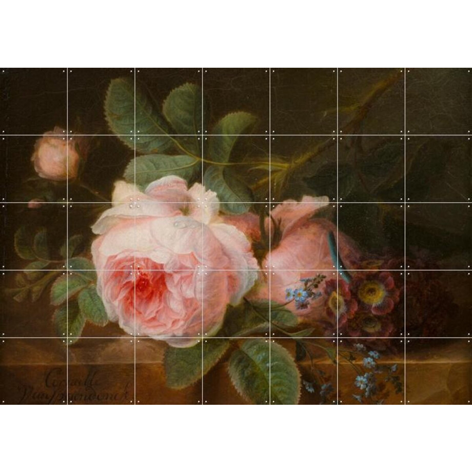 IXXI Koolroos, Gerard van Spaendonck & Het Noordbrabants Museum - 140 x 100 cm - Gratis ophangtool - Grote wanddecoratie en posters - Olieverf afbeelding 1