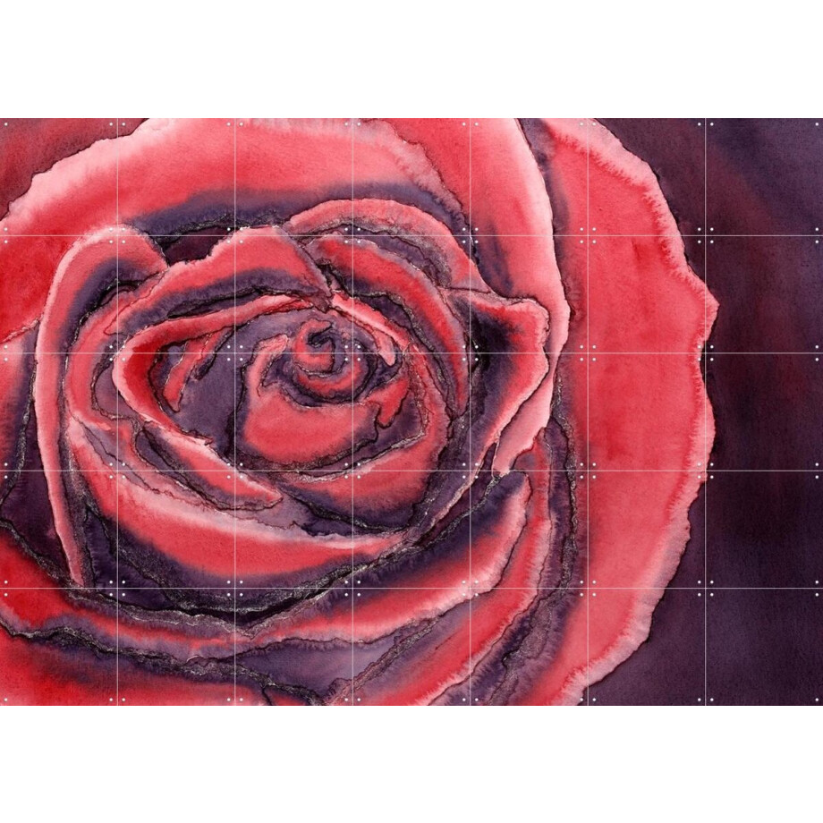 IXXI Red Rose, Natalie Bruns - 140 x 100 cm - Gratis ophangtool - Grote wanddecoratie en posters - Aquarel, Kleurrijk, Eetkamer, Woonkamer IXXI Red Rose, Natalie Bruns - 140 x 100 cm - Gratis ophangtool - Grote wanddecoratie en posters - Aquarel, Kleurrijk, Eetkamer, Woonkamer afbeelding 1