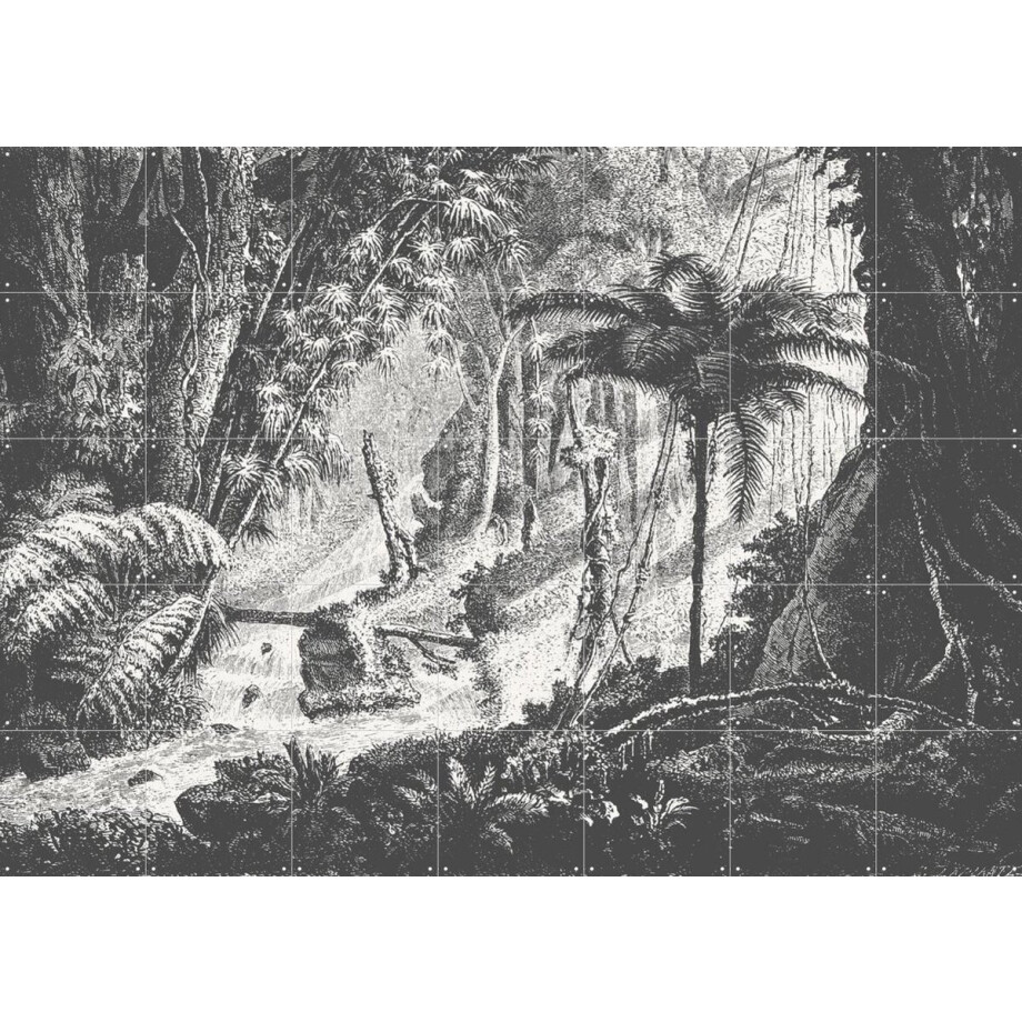 IXXI Brazilian Jungle, Aster Edition - 140 x 100 cm - Gratis ophangtool - Grote wanddecoratie en posters - Vintage, Houtsnede, Illustraties IXXI Brazilian Jungle, Aster Edition - 140 x 100 cm - Gratis ophangtool - Grote wanddecoratie en posters - Vintage, Houtsnede, Illustraties afbeelding 1