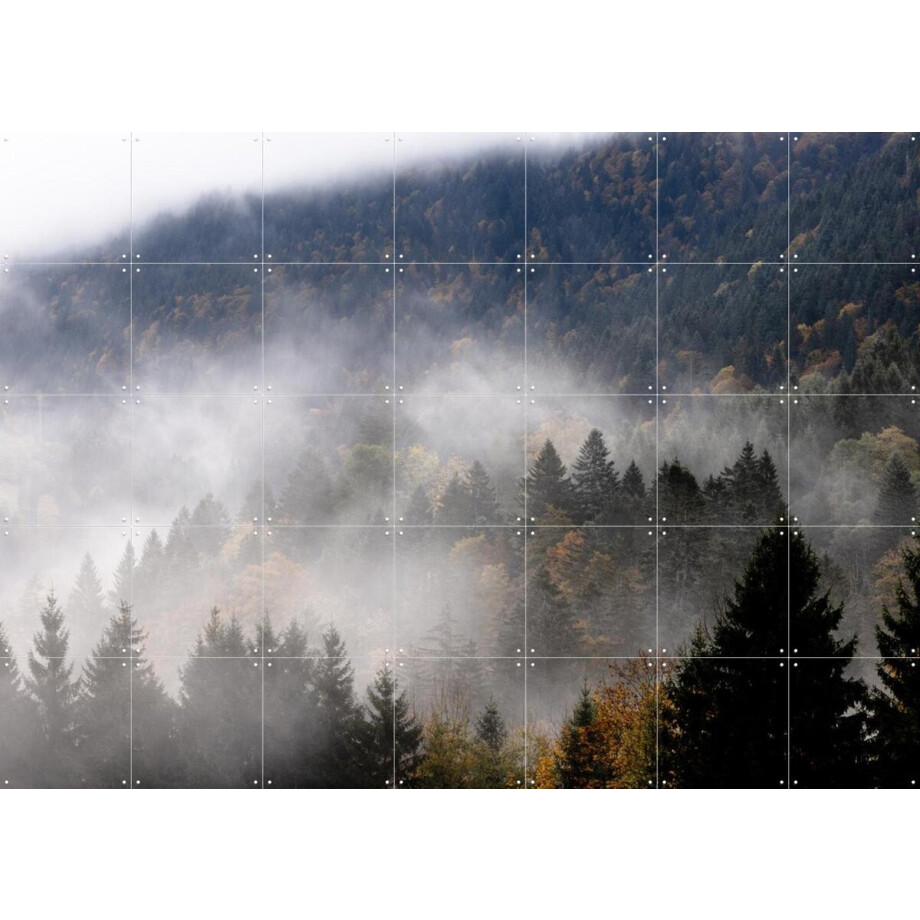 IXXI Foggy Woods 9, Mareike Böhmer - 140 x 100 cm - Gratis ophangtool - Grote wanddecoratie en posters - Naturalisme, Fotografie, Realisme, Woonkamer afbeelding 1