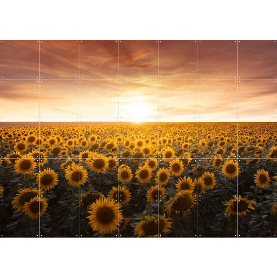 IXXI Sunflower Sunrise France, Claire Droppert - 140 x 100 cm - Gratis ophangtool - Grote wanddecoratie en posters - Impressionisme, Realisme afbeelding 1