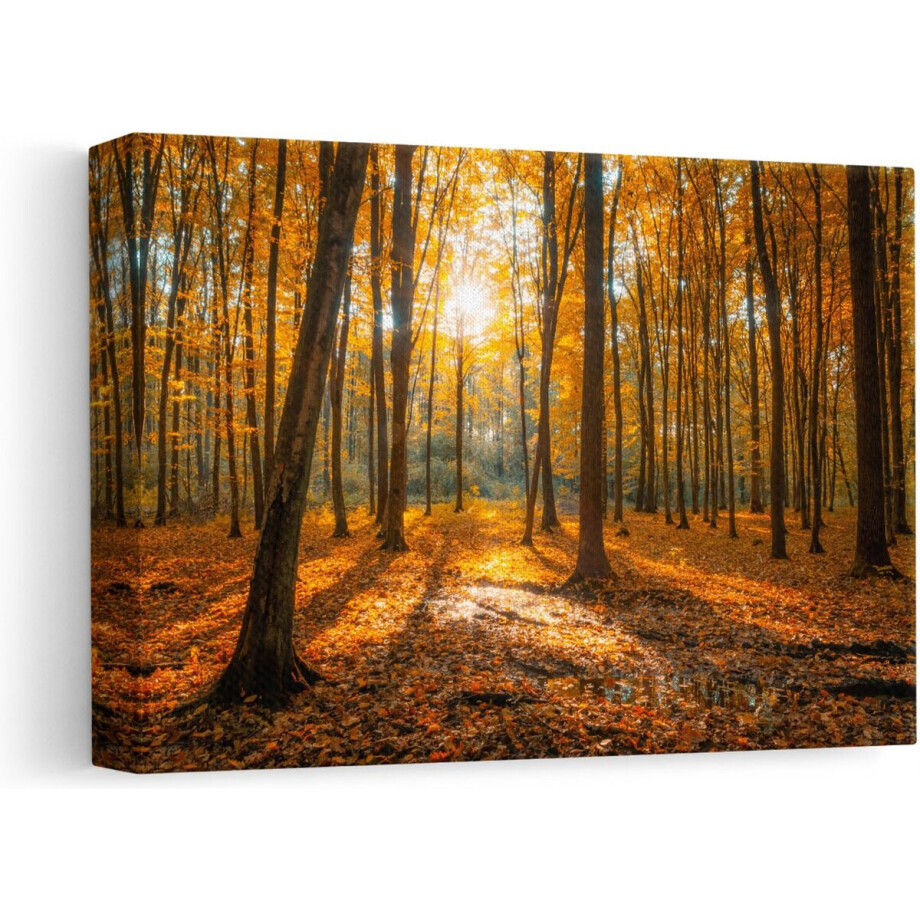 Artaza Canvas Schilderij Herfst in Bos - 30x20 - Klein - Foto Op Canvas - Canvas Print afbeelding 1