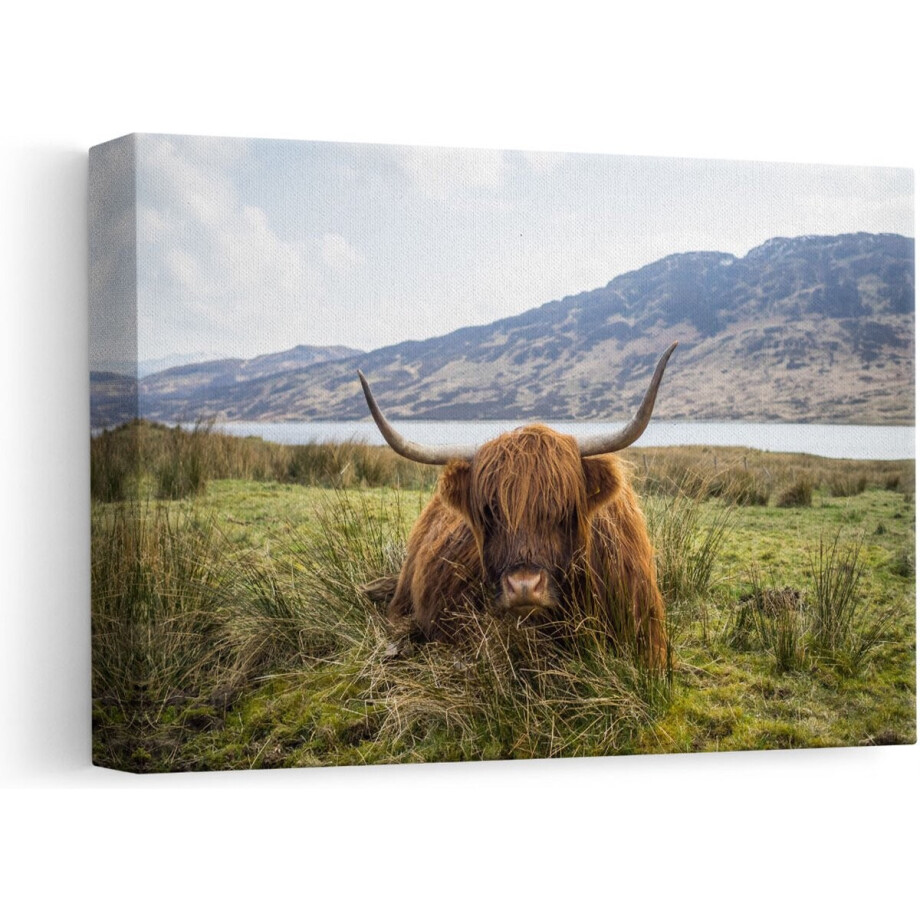 Artaza Canvas Schilderij Hooglander - 30x20 cm - Klein - Muurdecoratie Schotse Hooglander - Wanddecoratie Berglandschap - Kamer Accessoires afbeelding 1