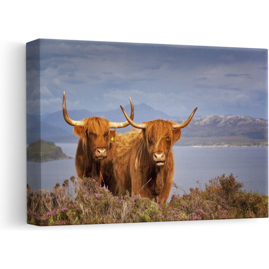Artaza Canvas Schilderij Hooglander - 30x20 cm - Klein - Muurdecoratie Schotland - Wanddecoratie Natuur - Kamer Accessoires Artaza Canvas Schilderij Hooglander - 30x20 cm - Klein - Muurdecoratie Schotland - Wanddecoratie Natuur - Kamer Accessoires afbeelding 1